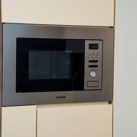 Luxury Apartment *